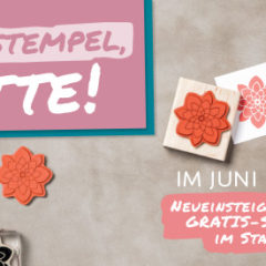 Der neue Stampin‘ Up! Katalog 2016-2017 ist da